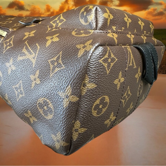 Louis Vuitton Monogram Palm Springs Backpack PM - Picture 7 of 17